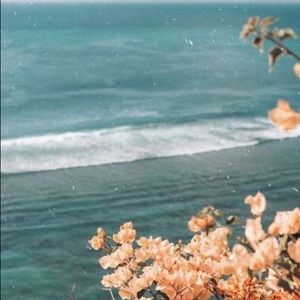 Meet your Posher, Peyton